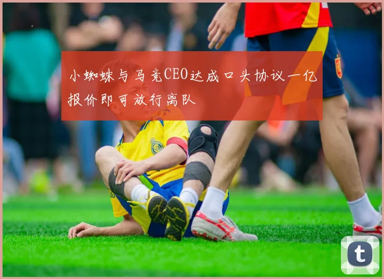 小蜘蛛与马竞CEO达成口头协议一亿报价即可放行离队