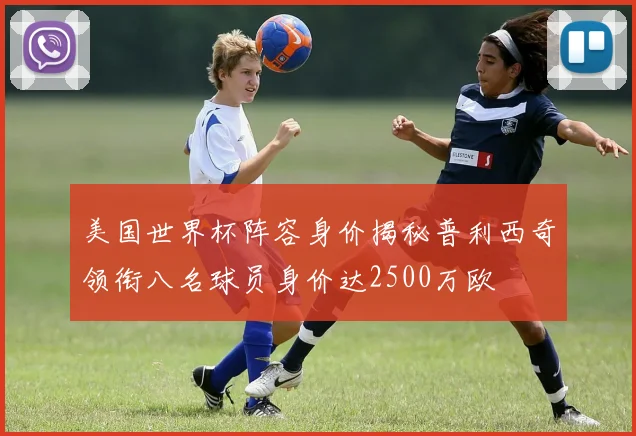 美国世界杯阵容身价揭秘普利西奇领衔八名球员身价达2500万欧